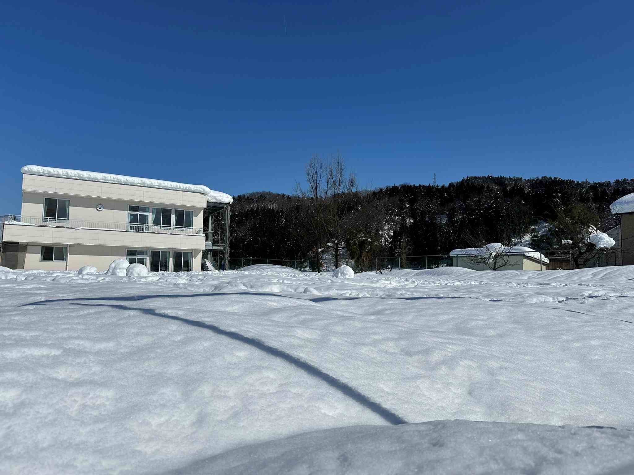 ひまわりの種がいっぱい！