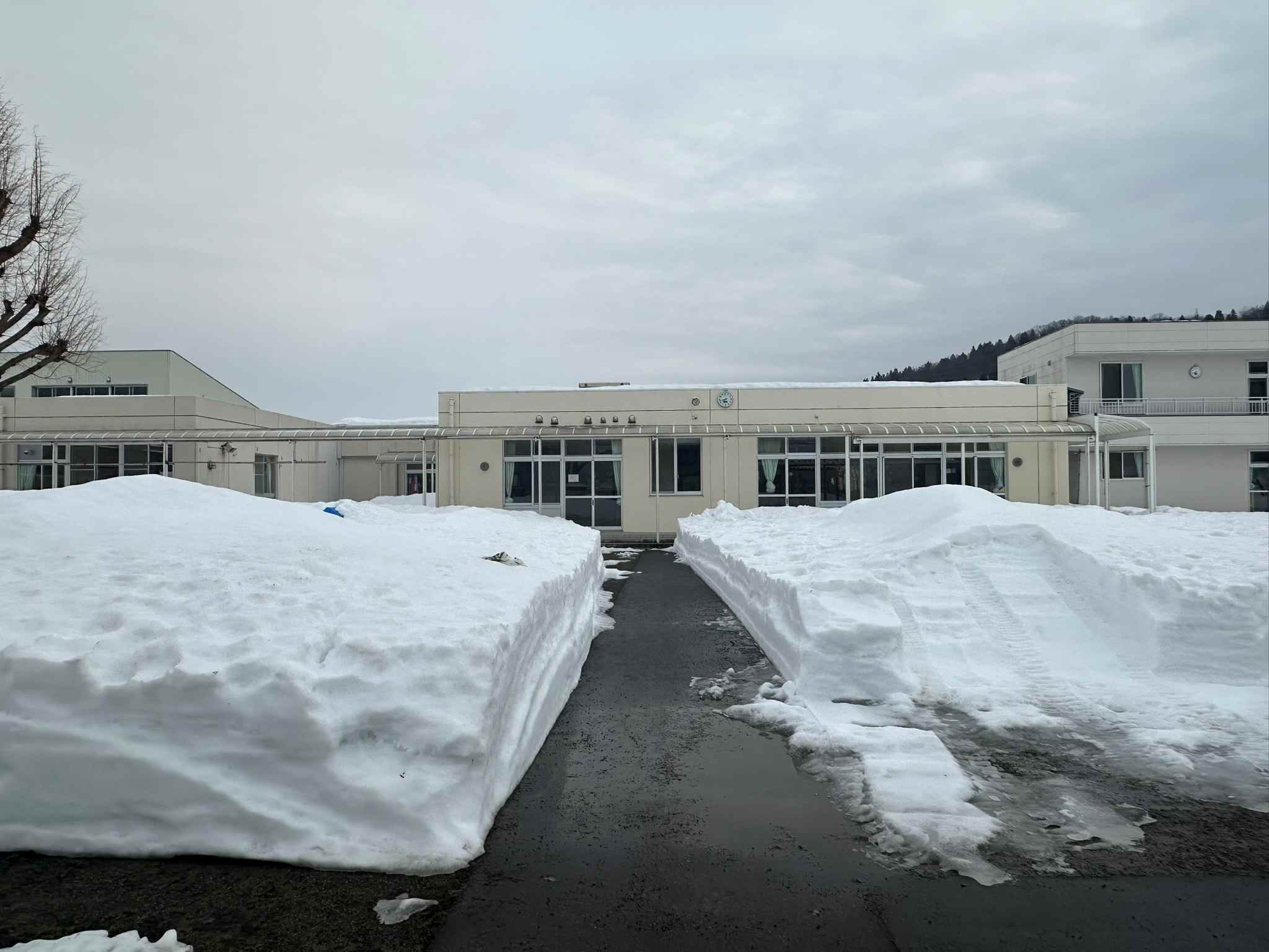 ひまわりの種がいっぱい！