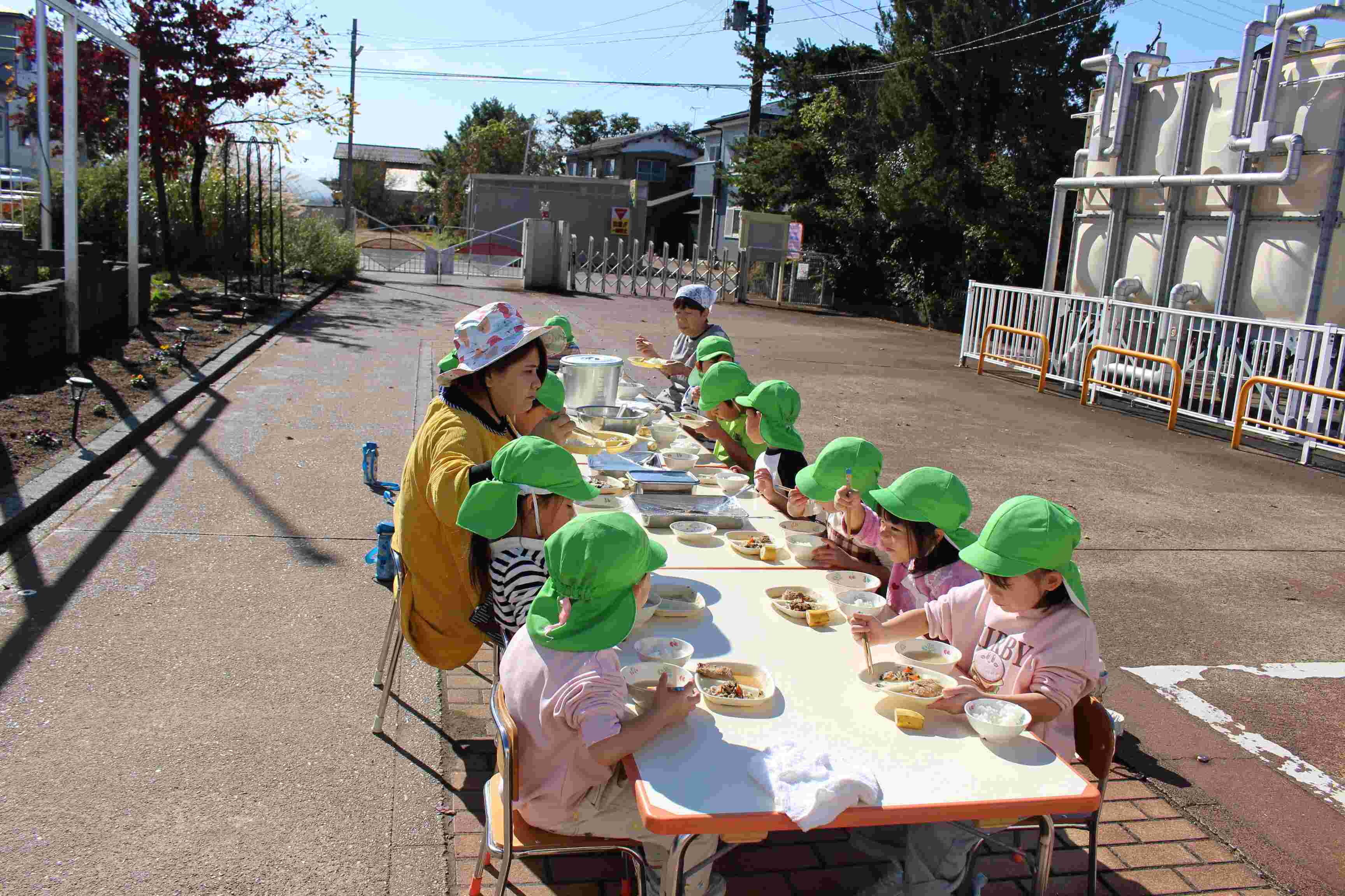 ひまわりの種がいっぱい！