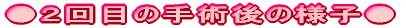 �p�[�g�P