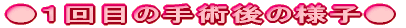 �p�[�g�P