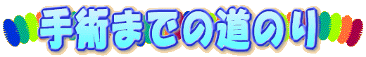 ��p�܂ł̓��̂� 