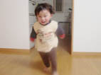 L`IƃA񑖂̃ci