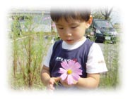 ツナは花が好き